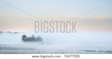 Beautiful Thick Fog Sunrise Autumn Fall Countryside Landscape With Treetops Visible Through Fog