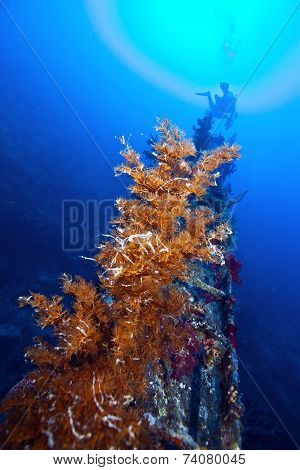deep wreck scuba diving wreck