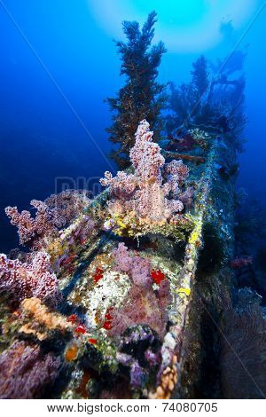 deep wreck scuba diving wreck