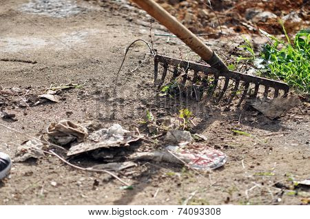 Autumn cleaning of the park