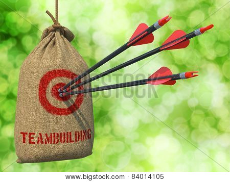Teambuilding - Arrows Hit in Red Target.