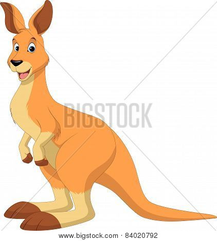 Funny Kangaroo