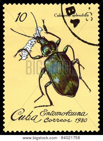 Vintage  Postage Stamp. Beetle Calasoma Splendida.