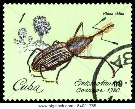 Vintage  Postage Stamp. Beetle Rhina Oblita.