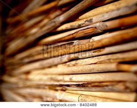 Rattan