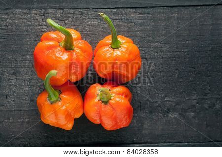 Trinidad Moruga Scorpion Pepper