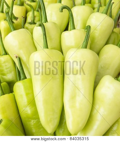 Close Up Green Pepper Group.