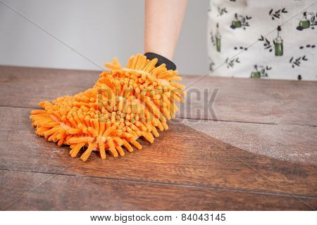 Feather Duster