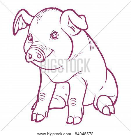 Funny Vector Cartoon  Piglet