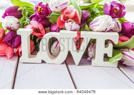 Colorful Tulips On Purple