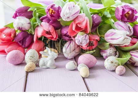 Colorful Tulips On Purple