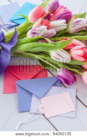 Colorful Tulips On Purple