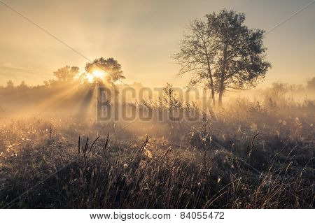 Beautiful Mystical Landscape