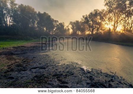 Beautiful Mystical Landscape