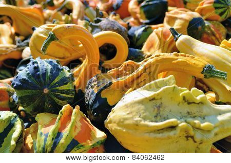 Pumpkins