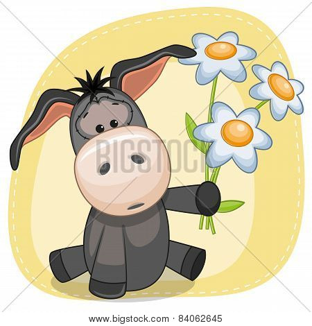 Boy Donkey With Flowers
