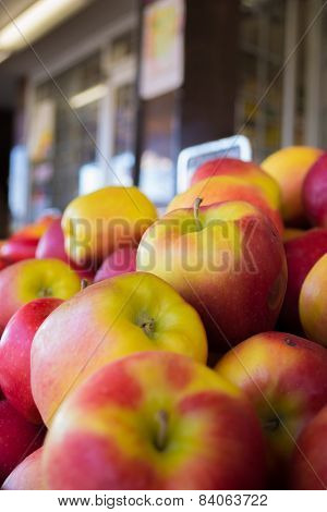 Organic Apples outdoor. Orchard. Autumn Garden. Harvest season. Harvesting. Pick
