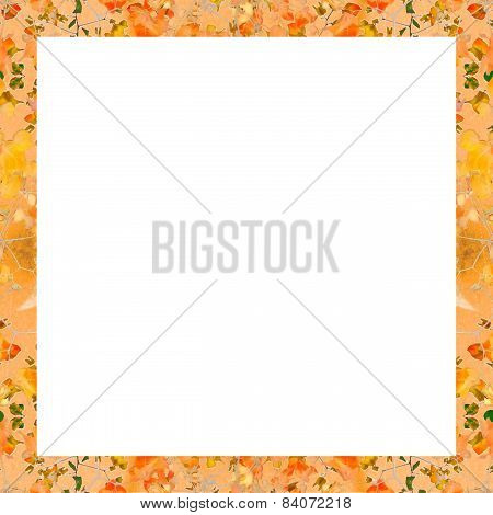 Decorative Swirls Frame Background