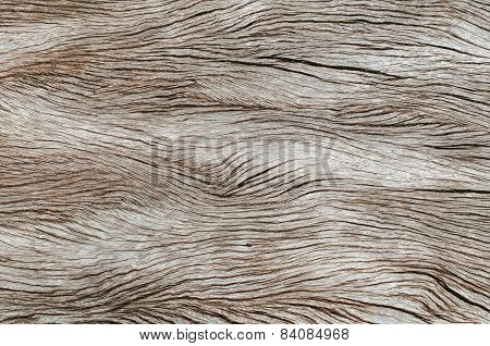 Texture of the old wood use for a background.