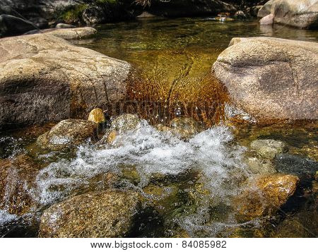 Pedrisa, Comunity Of Madrid, Spain