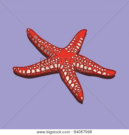 Funny Cartoon Starfish. Vector Illustration