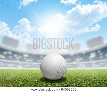 Cricket Stadium And Ball
