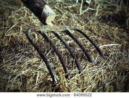 Farmer's Pitchfork On The Hay On The Farm