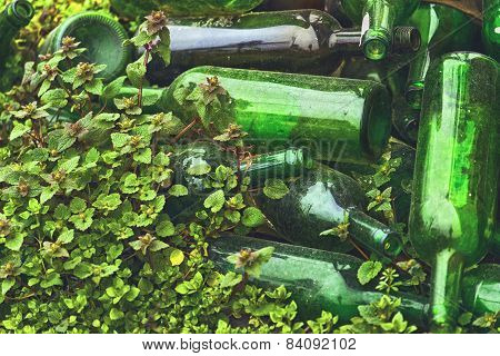 Empty Wine Bottles