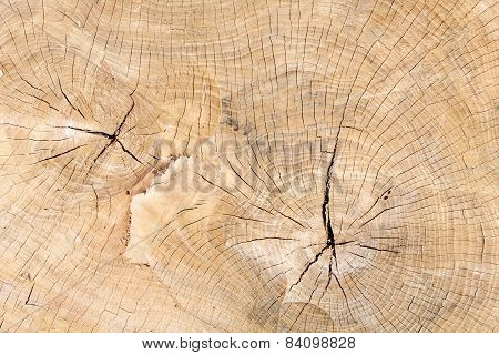 Texture