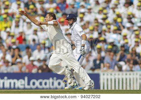 LONDON, ENGLAND - August 22 2013: Ryan Harris bowling during day two of the 5th Investec Ashes cricket match between England and Australia played at The Kia Oval Cricket Ground