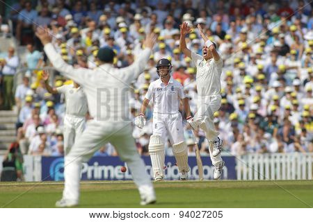 LONDON, ENGLAND - August 22 2013: Ryan Harris bowling during day two of the 5th Investec Ashes cricket match between England and Australia played at The Kia Oval Cricket Ground