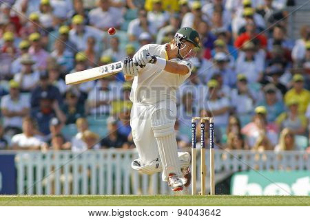 LONDON, ENGLAND - August 22 2013: Ryan Harris bowling during day two of the 5th Investec Ashes cricket match between England and Australia played at The Kia Oval Cricket Ground