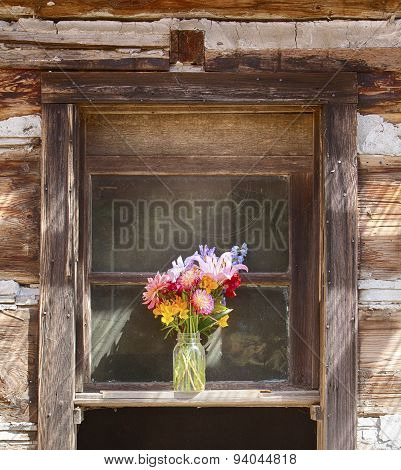 Flower Vase In Window