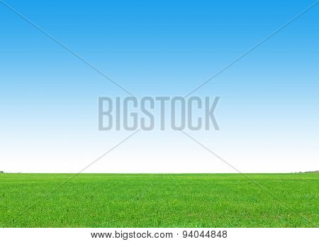 Green grass field and clear blue sky background