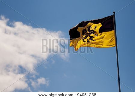 black lion flag with cloud behind