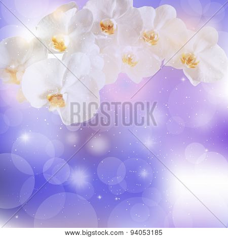 Vector Illustration Of Sprigs Of White Orchids On A Purple Backg