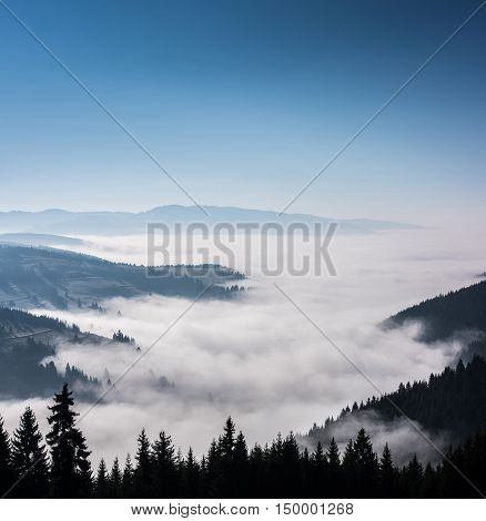 Beautiful morning landscape with trees in the fog. Foggy Landscape in Mountains.