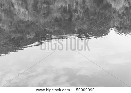 Wild Mountain Lake. Mountain Lake On The Background Of Autumn Forest