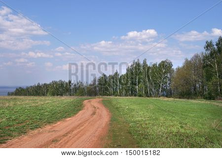 Summer Landscape