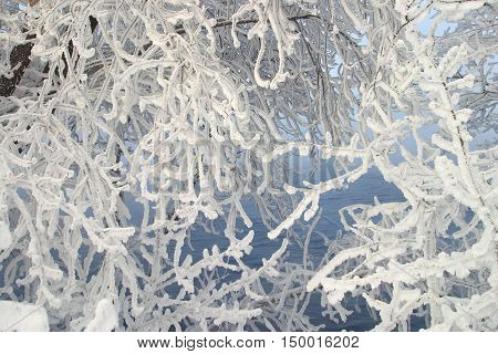 Winter Landscape