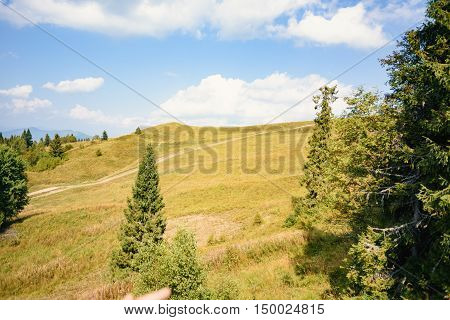 Hill In The Carpathian Mountains