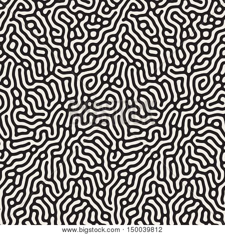 Vector Seamless Black and White Organic Lines Pattern. Abstract Freehand Background Design