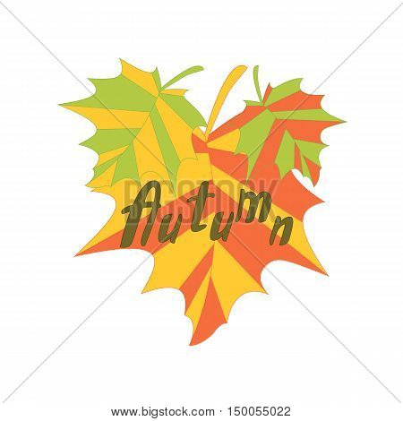 autumn maple with colorful leaves on a white background vector illustration