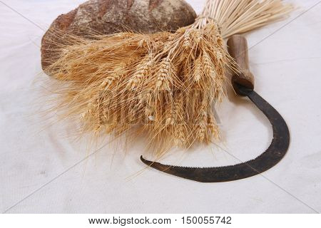bunch of mown wheat ears with vintage handmade reaper hook sickle and rye dark french fresh bread loaf on white linen tablecloth