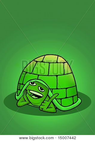 una tartaruga verde