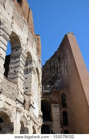 The Colosseum in Rome, side view. Coloseum in evening.