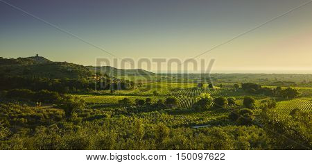 Bolgheri and Castagneto vineyard aerial panorama on sunset. Maremma Tuscany Italy Europe.