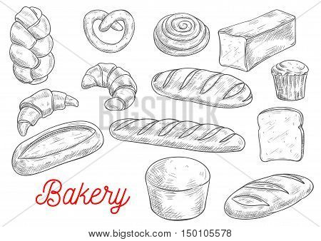 Sketched wheat bread, croissant and baguette, cupcake, cinnamon roll, toast and ciabatta, pretzel, braided bun and long loaf. Bakery and pastry shop food packaging design