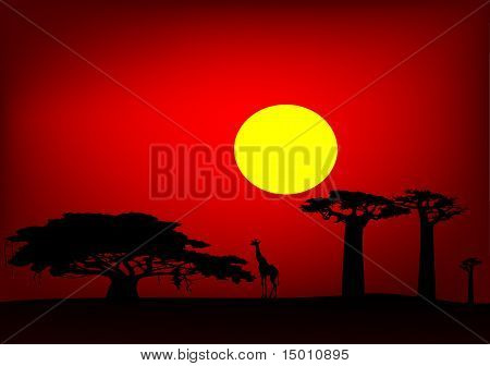 Afrika günbatımı - vektör