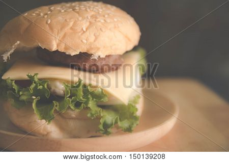 hamburger with fresh green vetgetable filter color
